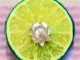 Echantillons de collection en vente